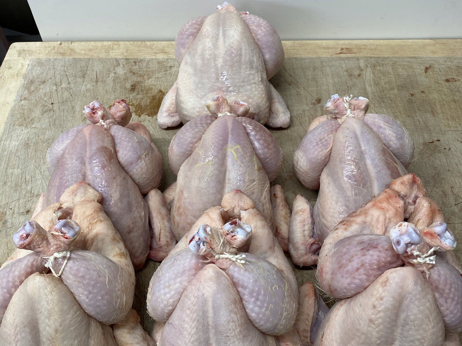 Chicken